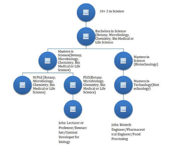 Career Options For Biology Students Top Teen   Image 